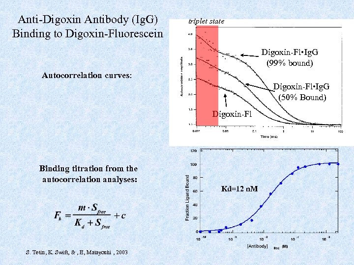 Anti-Digoxin Antibody (Ig. G) Binding to Digoxin-Fluorescein triplet state Digoxin-Fl • Ig. G (99%