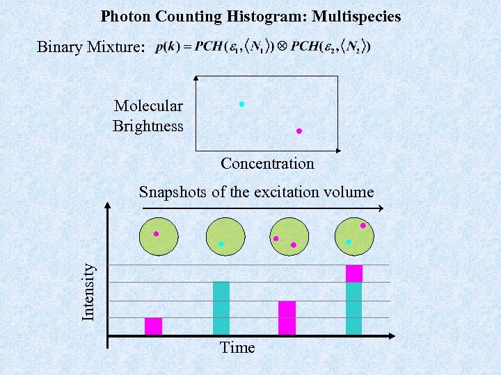 Photon Counting Histogram: Multispecies Binary Mixture: Molecular Brightness Concentration Intensity Snapshots of the excitation