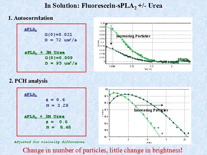 In Solution: Fluorescein-s. PLA 2 +/- Urea 1. Autocorrelation s. PLA 2 G(0)=0. 021