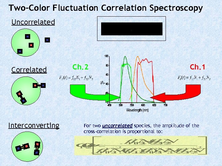 Two-Color Fluctuation Correlation Spectroscopy Uncorrelated Correlated Interconverting Ch. 2 Ch. 1 For two uncorrelated