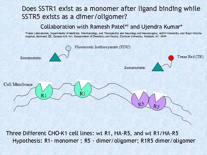 Does SSTR 1 exist as a monomer after ligand binding while SSTR 5 exists