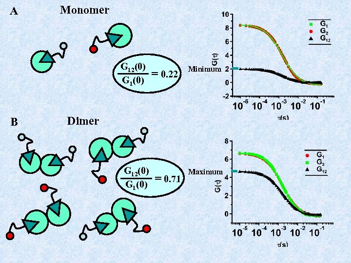 A Monomer G 12(0) G 1(0) B = 0. 22 Minimum Dimer G 12(0)