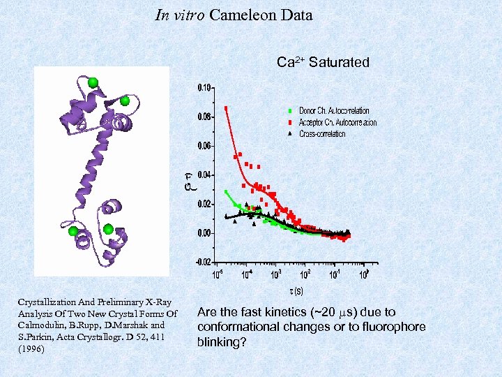 In vitro Cameleon Data Ca 2+ Saturated Crystallization And Preliminary X-Ray Analysis Of Two