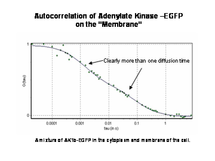 FRET Efficiency Distribution in Low Mg++ Low-FRET Conformation High-FRET Conformation FRET Efficiency 