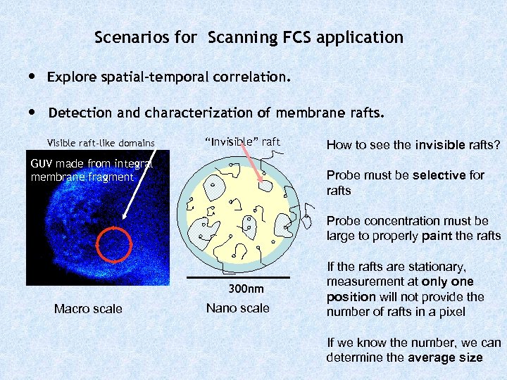 Scenarios for Scanning FCS application • Explore spatial-temporal correlation. • Detection and characterization of