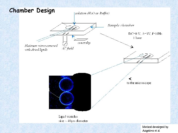 Chamber Design Method developed by Angelova et al 