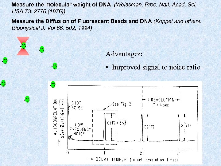 Measure the molecular weight of DNA (Weissman, Proc. Natl. Acad, Sci, USA 73: 2776