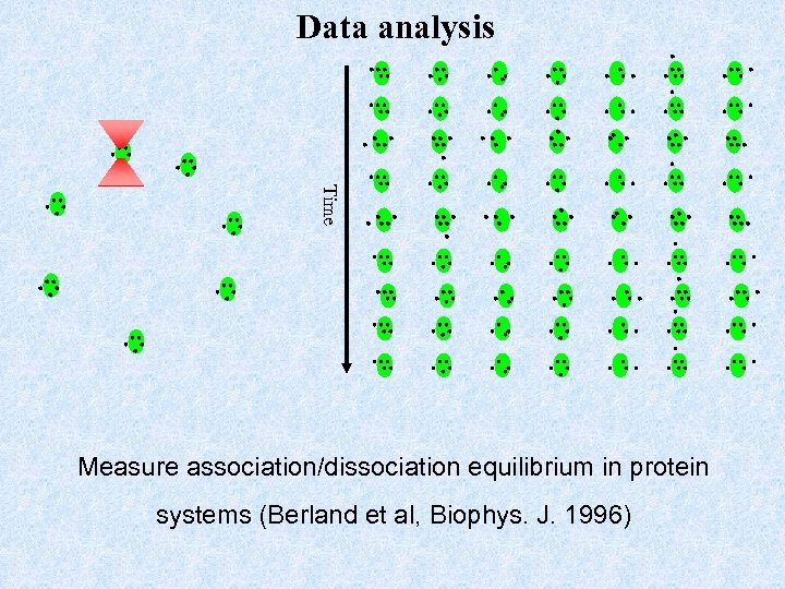 Data analysis Time Measure association/dissociation equilibrium in protein systems (Berland et al, Biophys. J.