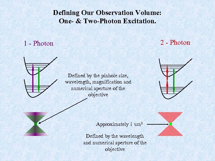 Defining Our Observation Volume: One- & Two-Photon Excitation. 2 - Photon 1 - Photon