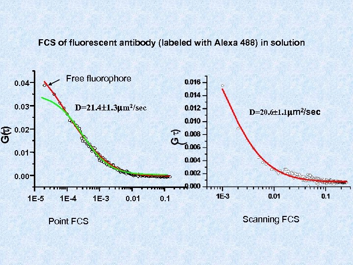 G(t) FCS of fluorescent antibody (labeled with Alexa 488) in solution 0. 04 0.