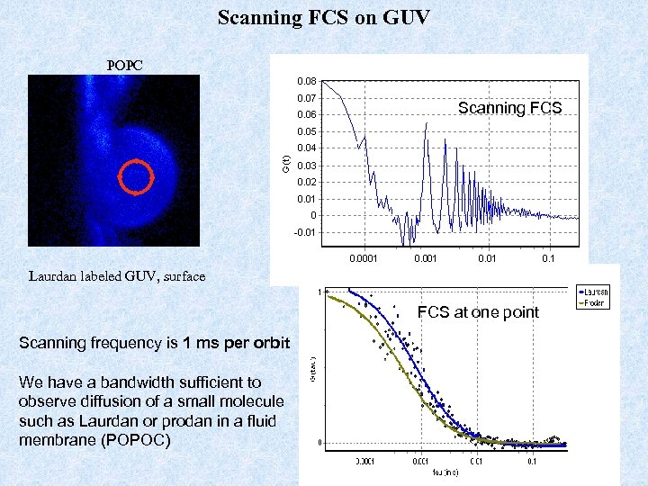 Scanning FCS on GUV POPC Scanning FCS Laurdan labeled GUV, surface FCS at one