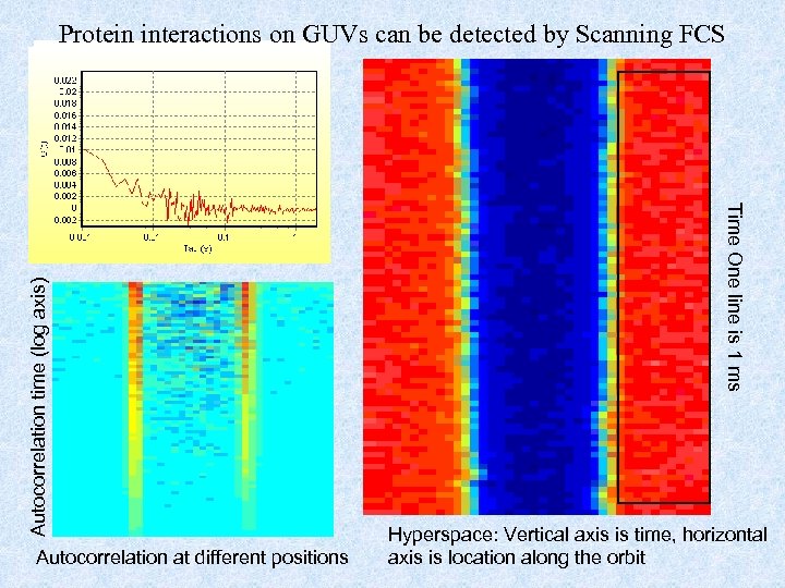 Autocorrelation at different positions Time One line is 1 ms Autocorrelation time (log axis)