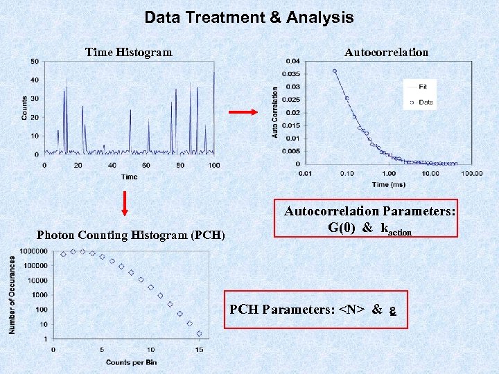 Data Treatment & Analysis Time Histogram Photon Counting Histogram (PCH) Autocorrelation Parameters: G(0) &