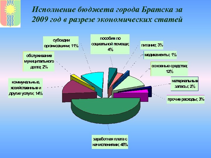 Исполнение бюджета города Братска за 2009 год в разрезе экономических статей 