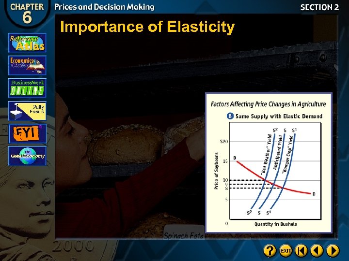 Importance of Elasticity 