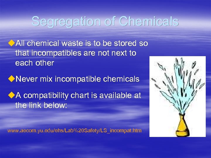 Segregation of Chemicals u. All chemical waste is to be stored so that incompatibles