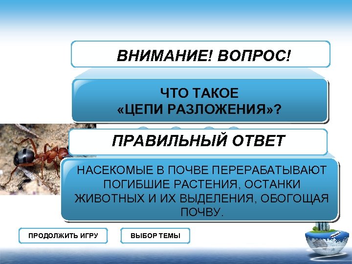 ВНИМАНИЕ! ВОПРОС! ЧТО ТАКОЕ «ЦЕПИ РАЗЛОЖЕНИЯ» ? ПРАВИЛЬНЫЙ ОТВЕТ НАСЕКОМЫЕ В ПОЧВЕ ПЕРЕРАБАТЫВАЮТ ПОГИБШИЕ