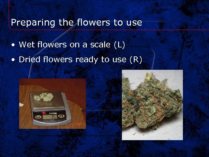 Preparing the flowers to use • Wet flowers on a scale (L) • Dried