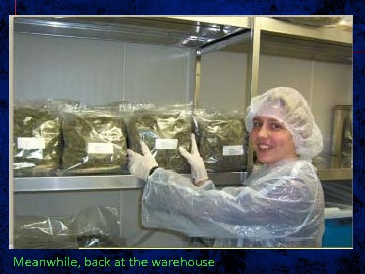 Meanwhile, back at the warehouse 