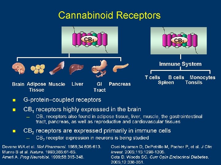 Cannabinoid Receptors 