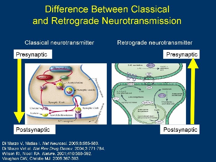 Difference Between Classical and Retrograde Neurotransmission 