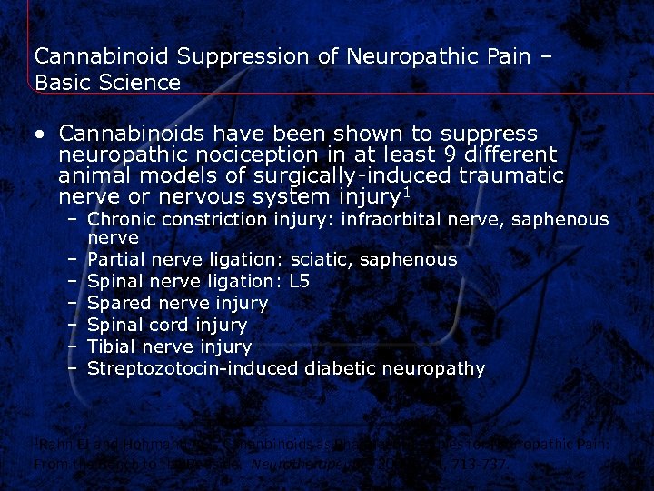 Cannabinoid Suppression of Neuropathic Pain – Basic Science • Cannabinoids have been shown to