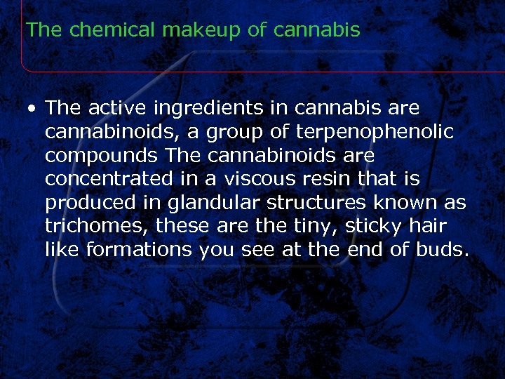 The chemical makeup of cannabis • The active ingredients in cannabis are cannabinoids, a