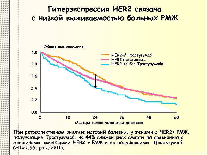 Гиперэкспрессия HER 2 связана с низкой выживаемостью больных РМЖ Общая выживаемость 1. 0 HER