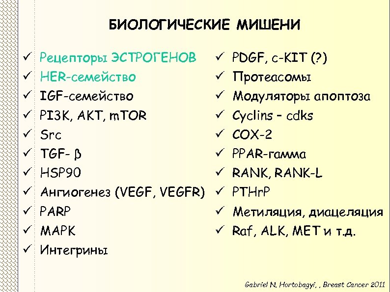 БИОЛОГИЧЕСКИЕ МИШЕНИ ü ü ü Рецепторы ЭСТРОГЕНОВ ü HER-семейство ü IGF-семейство ü PI 3