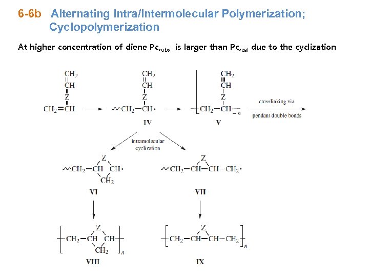 6 -6 b Alternating Intra/Intermolecular Polymerization; Cyclopolymerization At higher concentration of diene Pc, obs