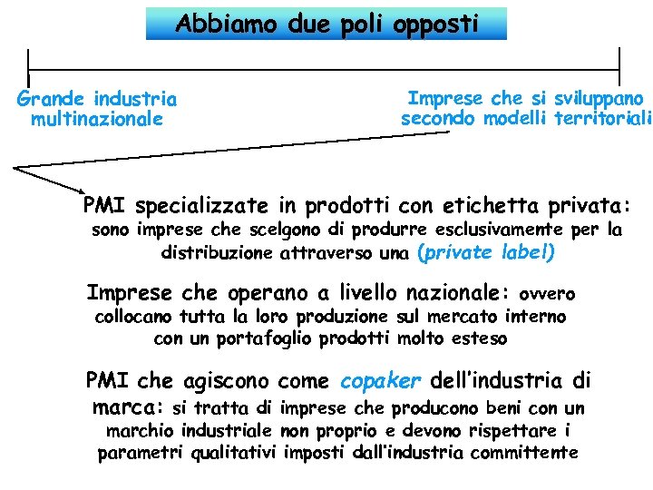 Abbiamo due poli opposti Grande industria multinazionale Imprese che si sviluppano secondo modelli territoriali