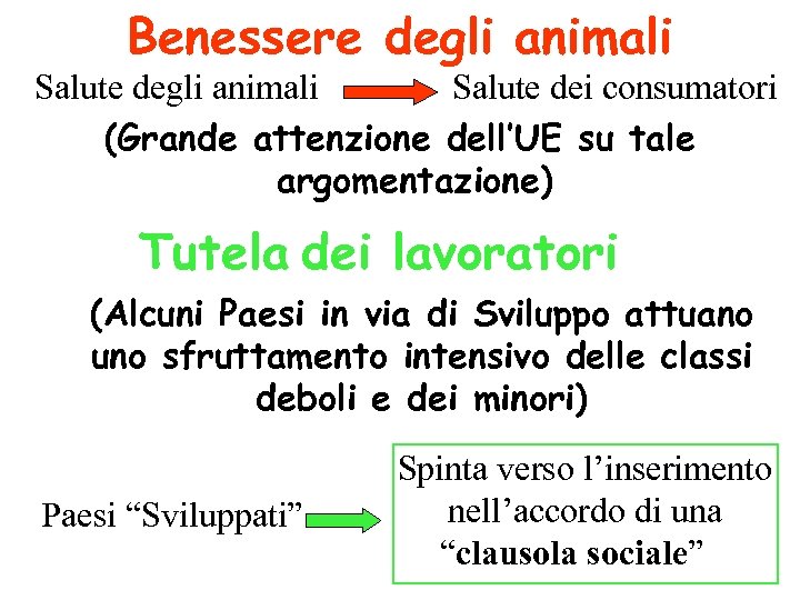 Benessere degli animali Salute dei consumatori (Grande attenzione dell’UE su tale argomentazione) Tutela dei
