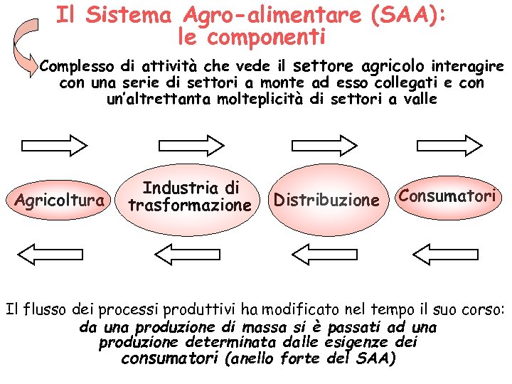 Il Sistema Agro-alimentare (SAA): le componenti Complesso di attività che vede il settore agricolo