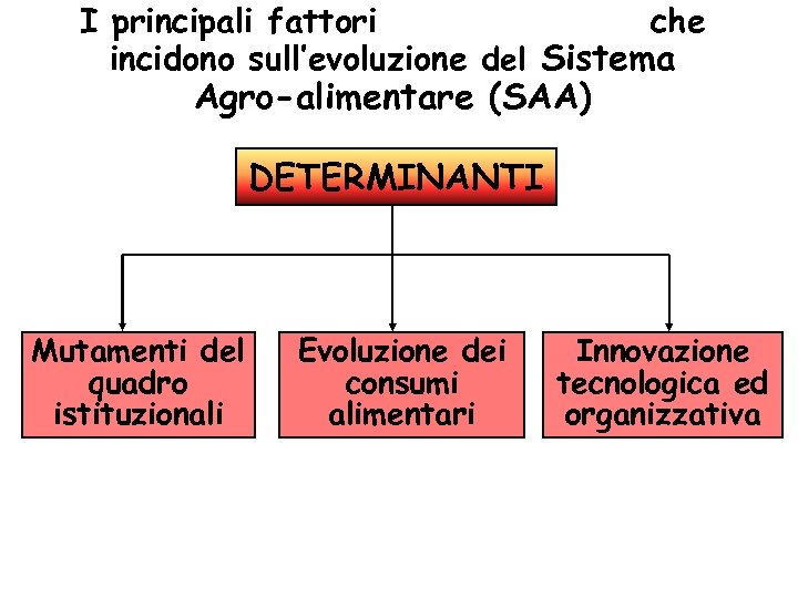 I principali fattori che incidono sull’evoluzione del Sistema Agro-alimentare (SAA) DETERMINANTI Mutamenti del quadro