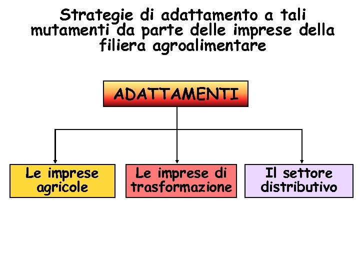 Strategie di adattamento a tali mutamenti da parte delle imprese della filiera agroalimentare ADATTAMENTI