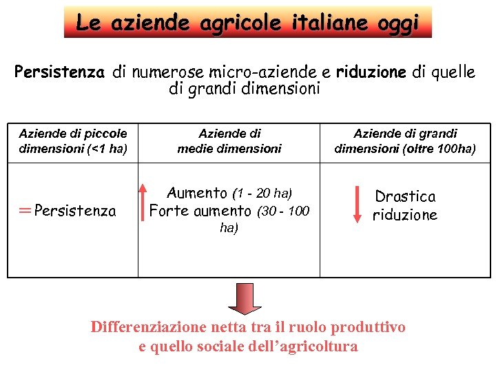 Le aziende agricole italiane oggi Persistenza di numerose micro-aziende e riduzione di quelle di