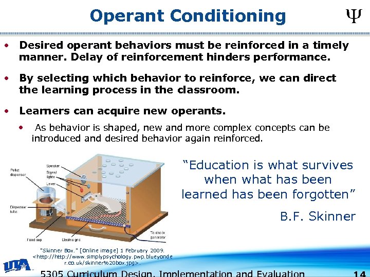 Operant Conditioning • Desired operant behaviors must be reinforced in a timely manner. Delay