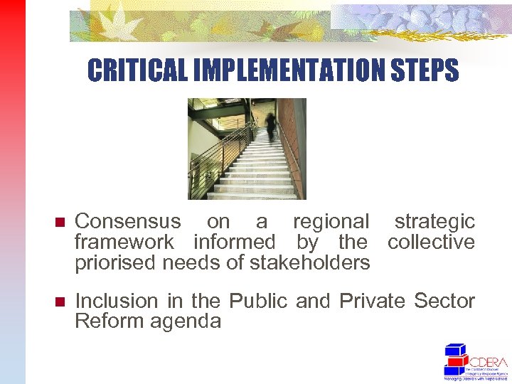 CRITICAL IMPLEMENTATION STEPS n Consensus on a regional strategic framework informed by the collective