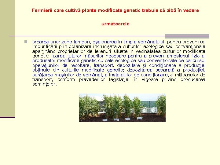 Fermierii care cultivă plante modificate genetic trebuie să aibă în vedere următoarele n crearea