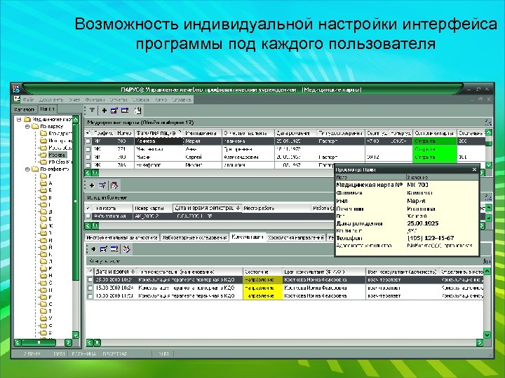 Возможность индивидуальной настройки интерфейса программы под каждого пользователя 