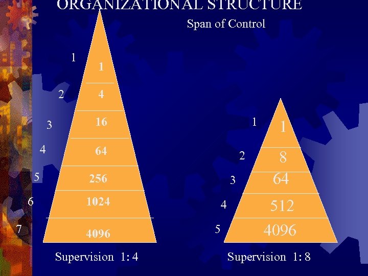 ORGANIZATIONAL STRUCTURE Span of Control 1 2 3 4 5 6 7 1 4