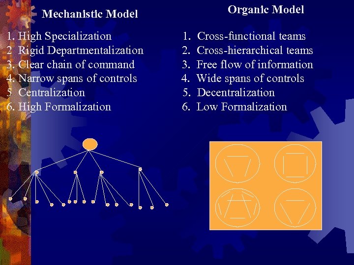 Organic Model Mechanistic Model 1. High Specialization 2 Rigid Departmentalization 3. Clear chain of