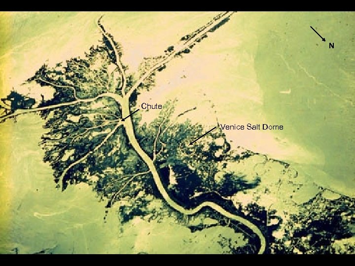 34 -74 -002 Chute Venice Salt Dome N 