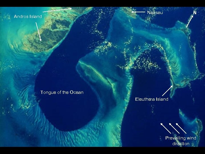 Nassau Andros Island N 29 -90 -012 Tongue of the Ocean Eleuthera Island Prevailing