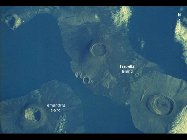 N 27 -77 -018 Isabella Island Fernandina Island 