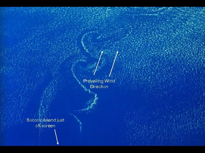 49 -76 -02 Prevailing Wind Direction Socorro Island just off screen 