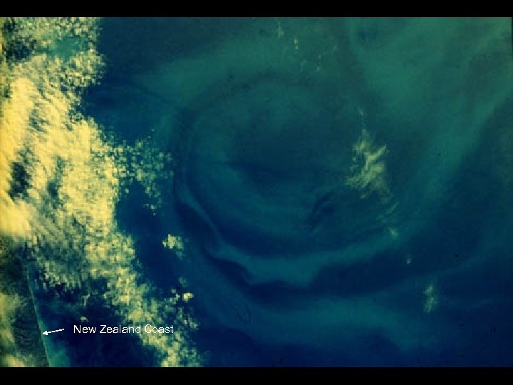 61 A-50 -020 New Zealand Coast 