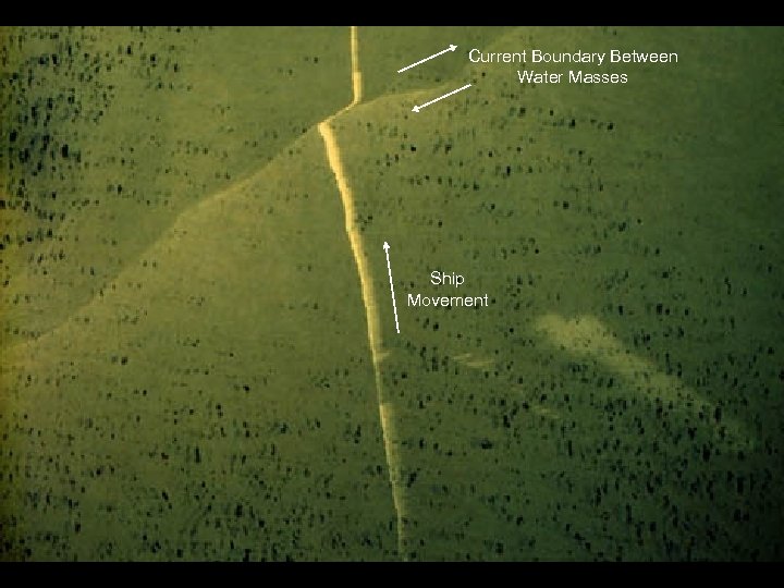 Current Boundary Between Water Masses 51 I-42 -041 Ship Movement 
