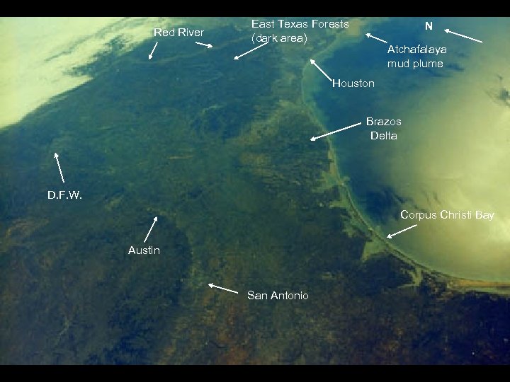 Red River East Texas Forests (dark area) 41 C-51 -2415 N Atchafalaya mud plume