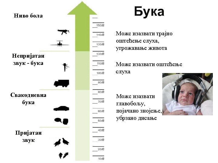 Ниво бола Бука Може изазвати трајно оштећење слуха, угрожавање живота Непријатан звук - бука